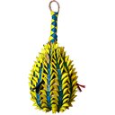 Planet Pleasures Pineapple Foraging Bird Toy, Large, Color Varies