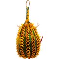 Planet Pleasures Pineapple Foraging Bird Toy, X-Large, Color Varies