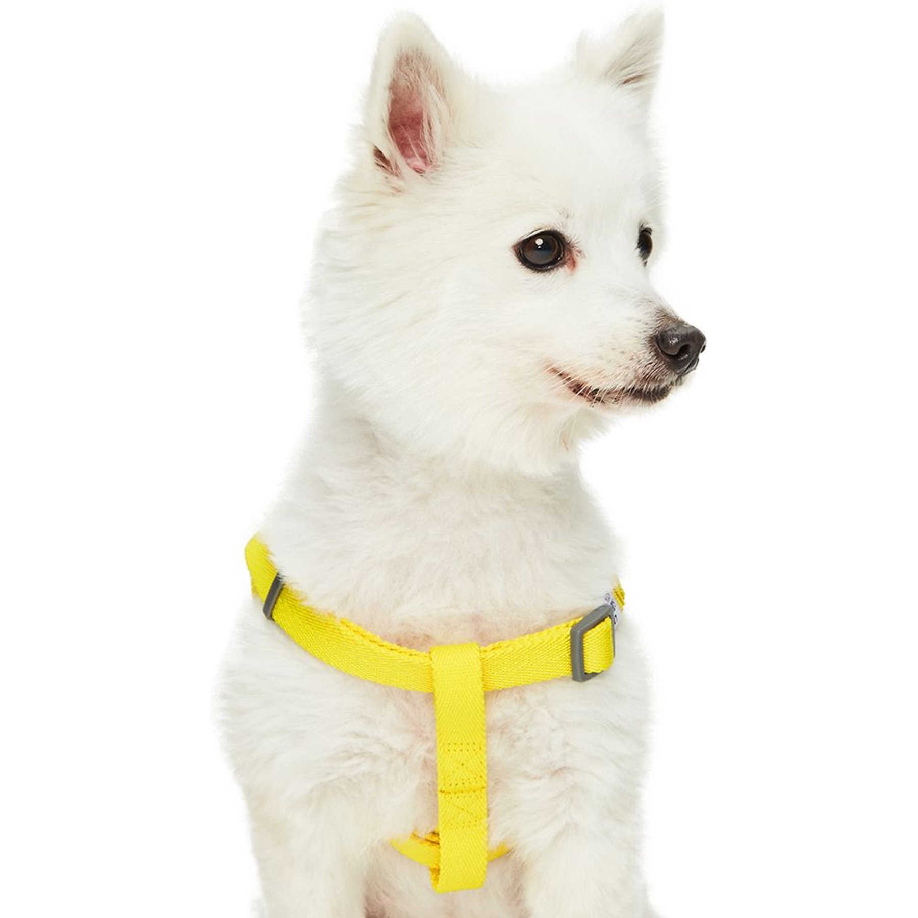 Dogs Cats Co. Heavy Duty Classic Solid Color Step in Dog Harness Vibrant Yellow Large 26 to 39 in Chest