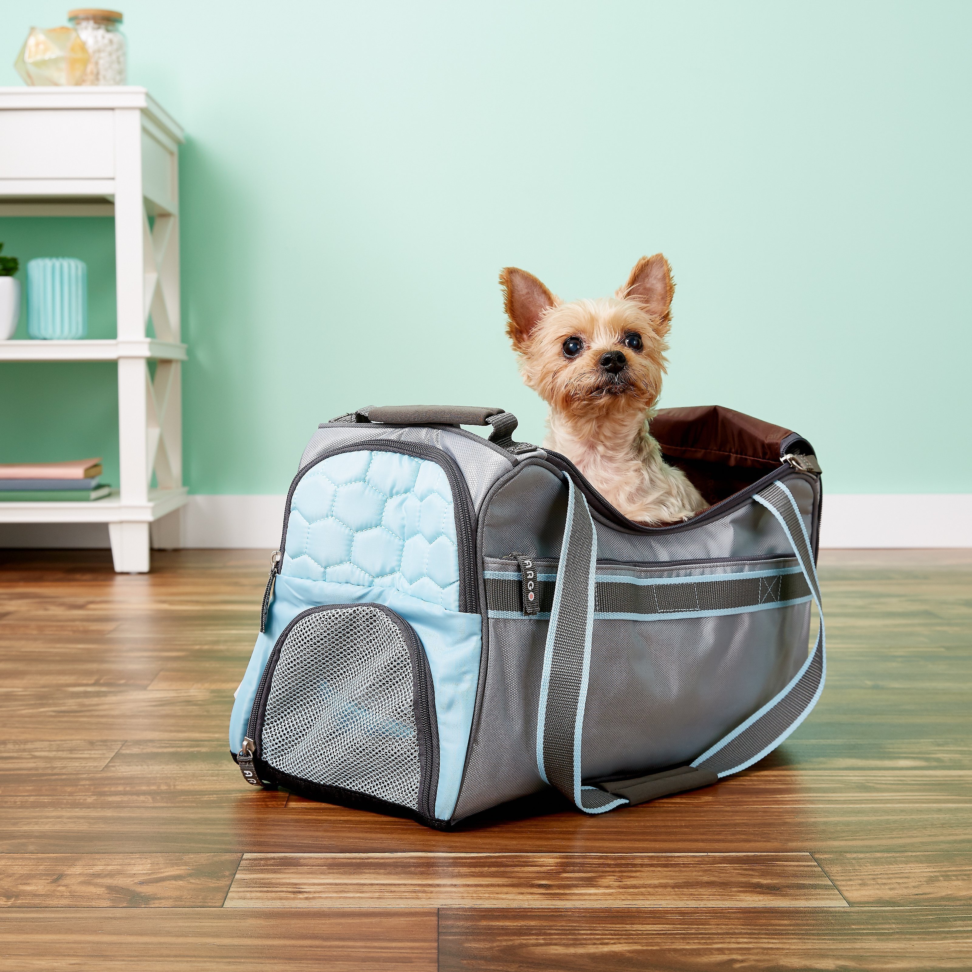 ARGO Petagon Dog & Cat Carrier Bag Customer Questions