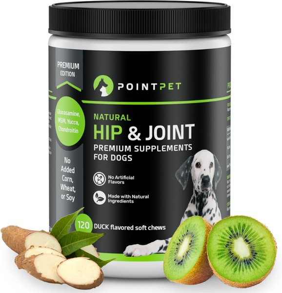 POINTPET Glucosamine Chondroitin Hip & Joint Dog Supplement, 120 count ...