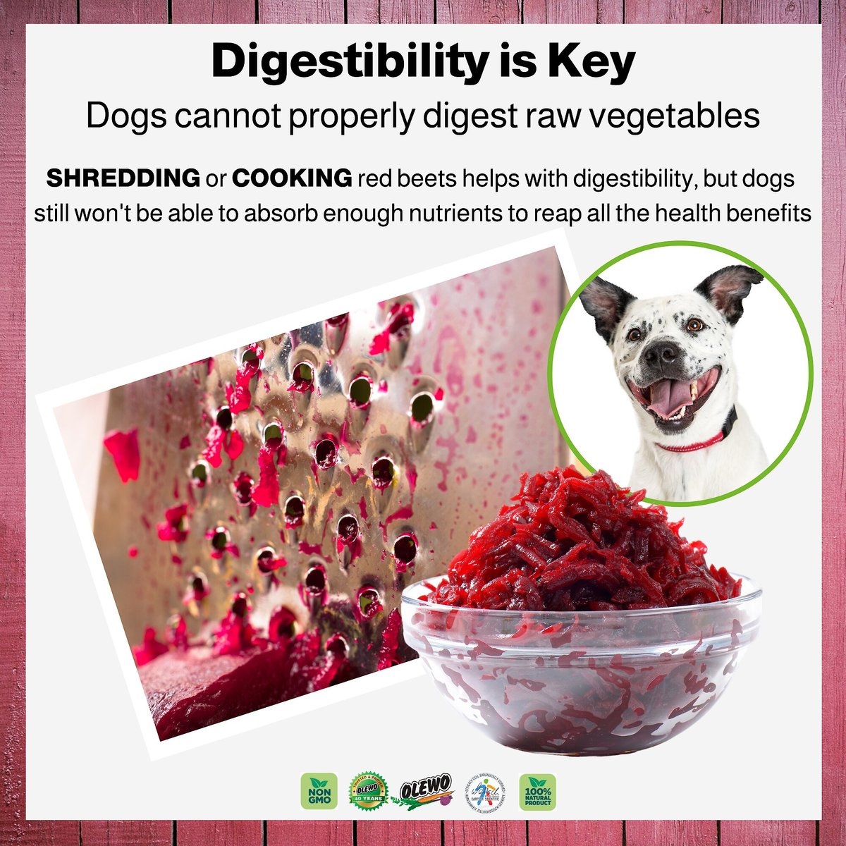 Dehydrated beets 2024 for dogs