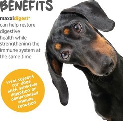 maxxipaws maxxidigest+ Digestive & Immune System Support for Dogs Supplement, 13.2-oz slide 2 of 9