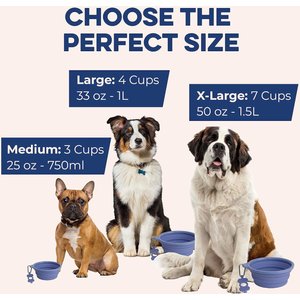 Bonza Collapsible Silicone Dog Bowl, Blue, Large, 1 count