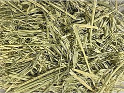 Rabbit Hole Hay Ultra Premium Hand-Packed Oat Hay for Small Pets, 40-lb bag slide 2 of 2