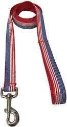 Sassy Dog Wear American Flag Dog Leash, Medium slide 2 of 2
