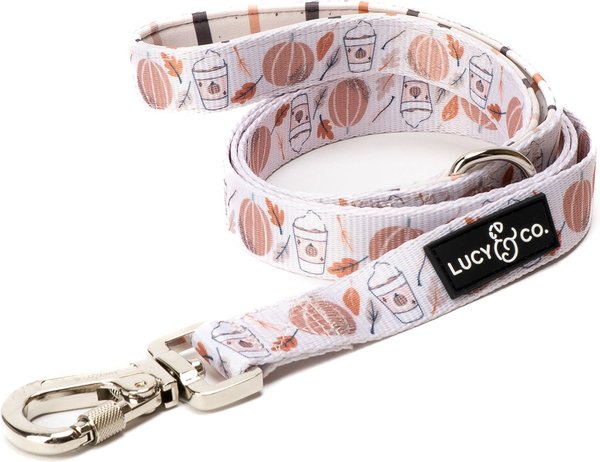 Lucy & Co. The Awesomely Autumn Polyester Standard Dog Leash, Orange