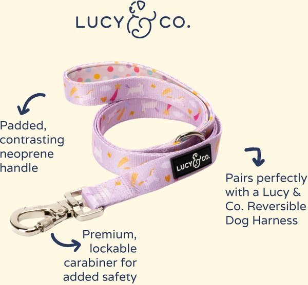 Lucy & Co. The Making Magic Polyester Standard Dog Leash, Purple