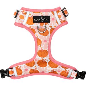 Lucy & Co. The Sugar & Pumpkin Spice No-Pull Dog Harness, Orange/Pink