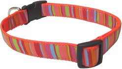 Sassy Dog Wear Multi Stripe Dog Collar, Lime & Coral, X-Small  slide 2 of 2
