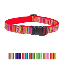 Sassy Dog Wear Multi Stripe Dog Collar, Lime & Coral, Small 