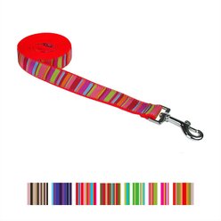 Sassy Dog Wear Multi Stripe Dog Leash, Lime & Coral, Medium