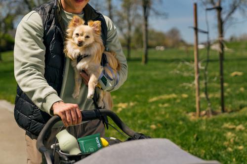 Show full view: Earth Rated Thick Hypoallergenic 3-in-1 Dog Grooming Wipes, Lavender Scented, 10 count slide 4 of 8