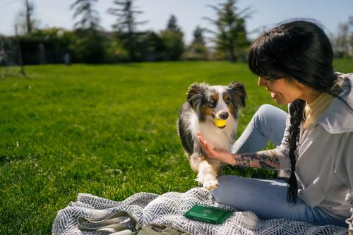 Show full view: Earth Rated Thick Hypoallergenic 3-in-1 Dog Grooming Wipes, Lavender Scented, 10 count slide 5 of 8