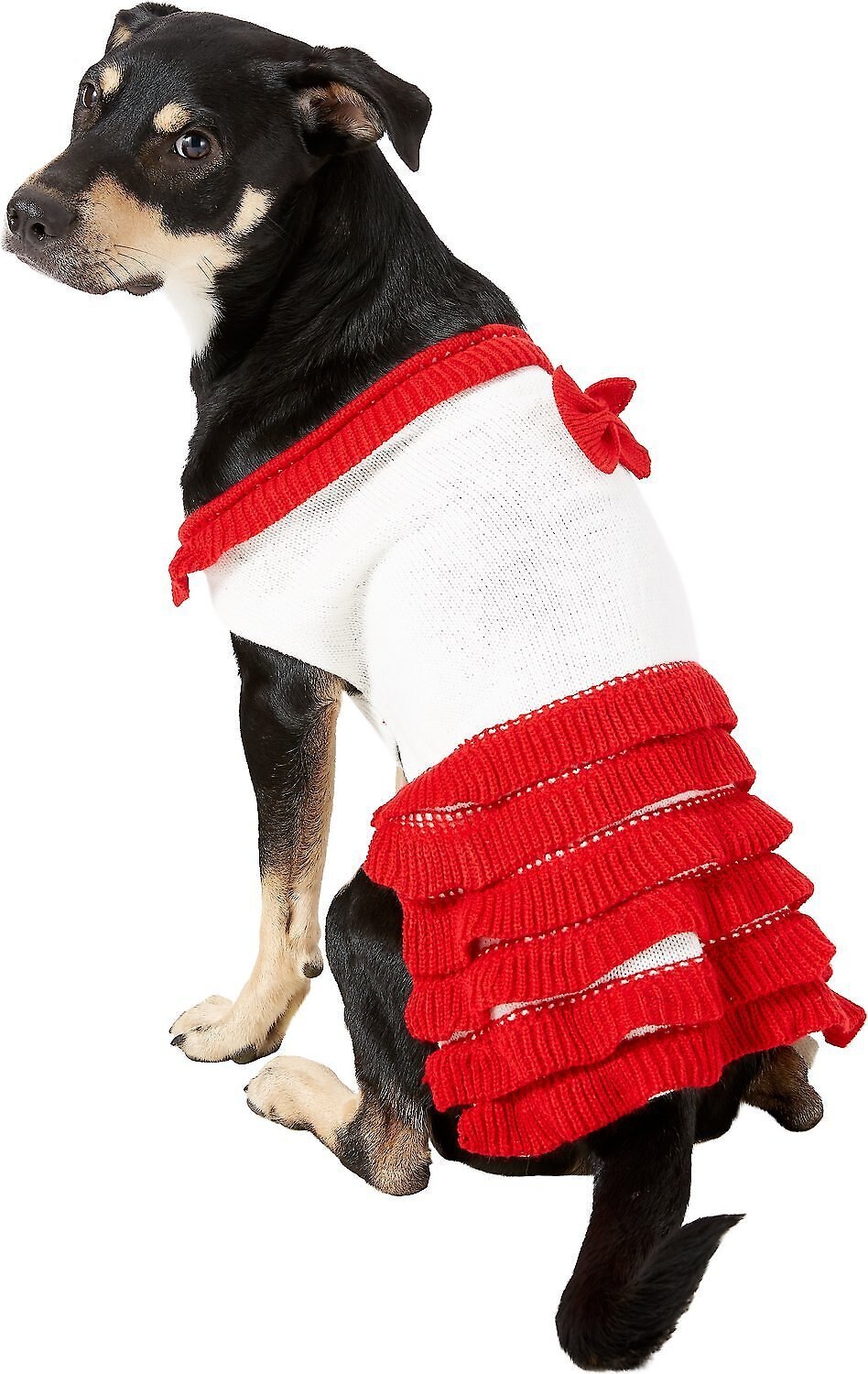 holiday dog dress Santa Baby Luxury Pet Dress – Chloe Cole Pet Couture main image 1