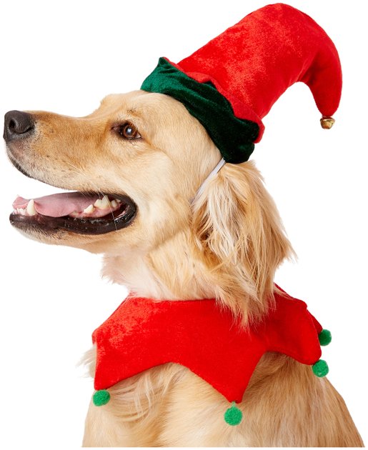 RUBIE’S COSTUME COMPANY Elf Dog Hat with Bell, Medium/Large - Chewy.com
