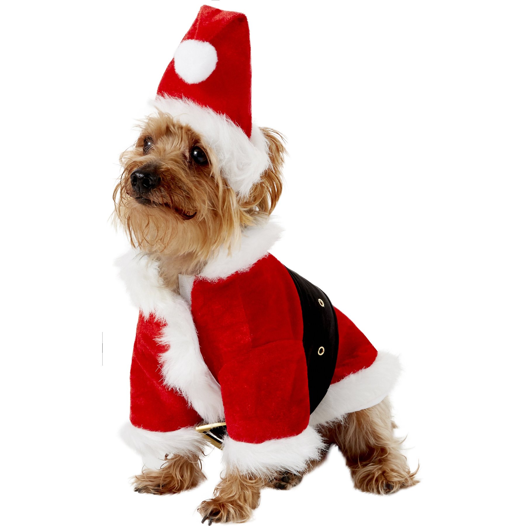 Rubie's Costume Company Christmas Santa Claus Dog Costume, Small