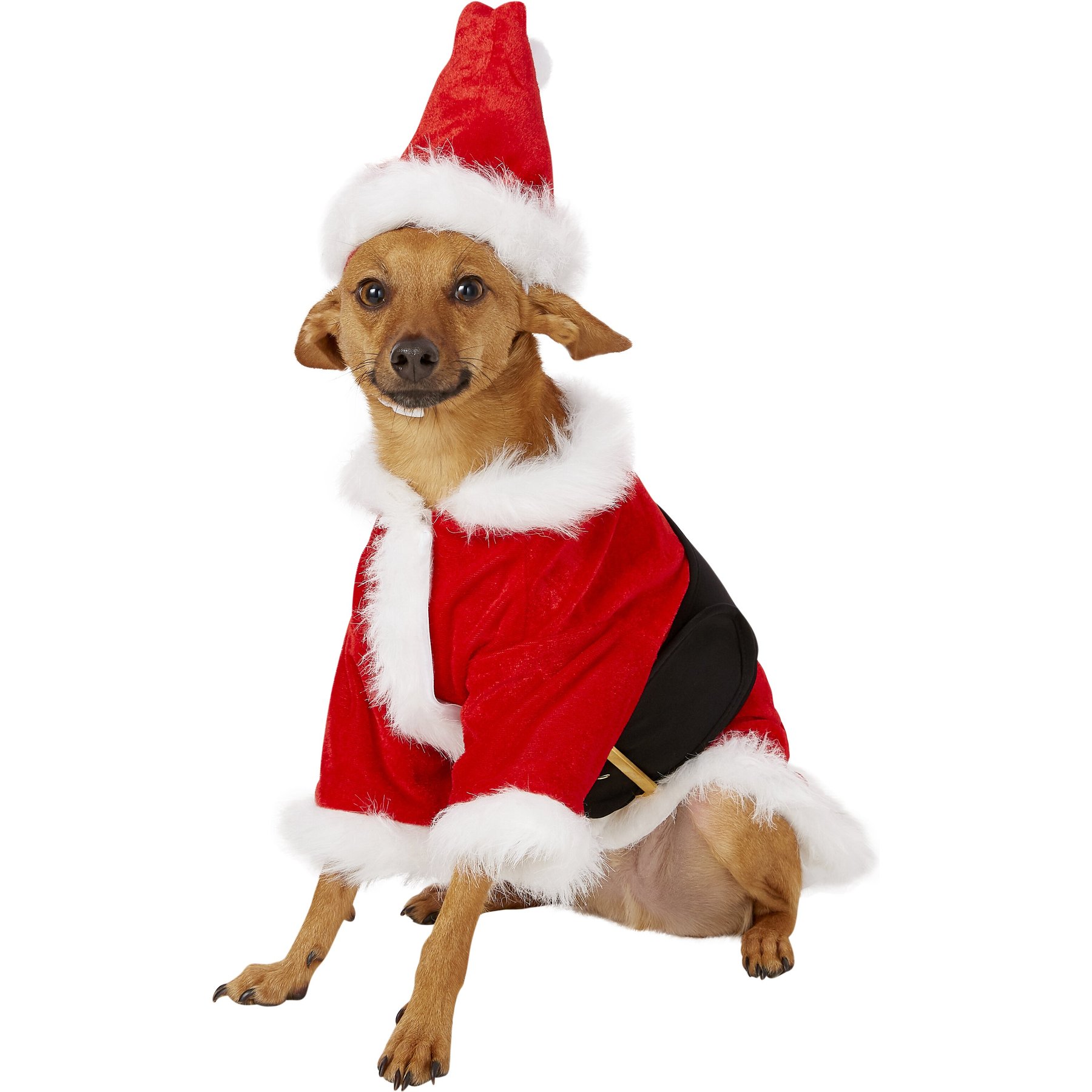 Rubie's Costume Company Christmas Santa Claus Dog Costume, Medium
