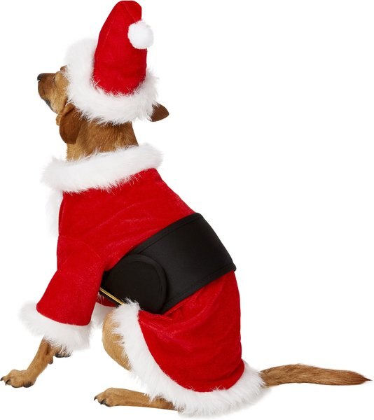 Rubie's Costume Company Christmas Santa Claus Dog Costume