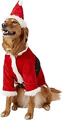 Rubie's Costume Company Santa Claus Dog Costume, X-Large