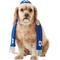 Show in main carousel: Rubie's Costume Company Yarmulke Dog Tallis, Medium/Large slide 1 of 6