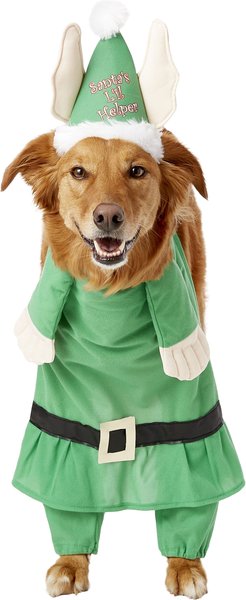 Santa's helper 2025 dog costume