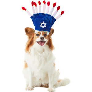 Rubie's Costume Company Birthday Cake Dog & Cat Hat