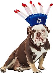 Rubie's Costume Company Menorah Dog Hat, Medium/Large