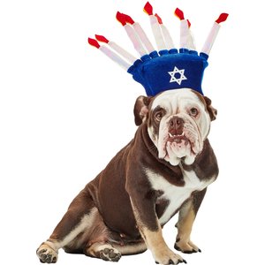Rubie's Costume Company Menorah Dog Hat, Medium/Large