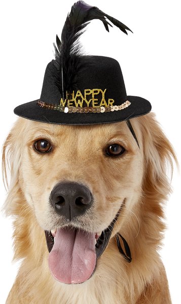 RUBIE'S COSTUME COMPANY Happy New Year Dog Hat, Medium/Large - Chewy.com