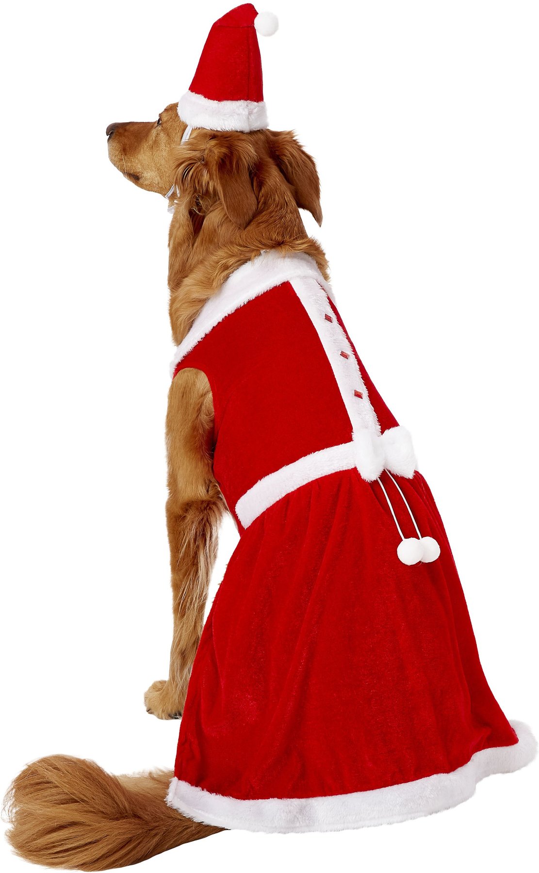 mrs claus pet costume