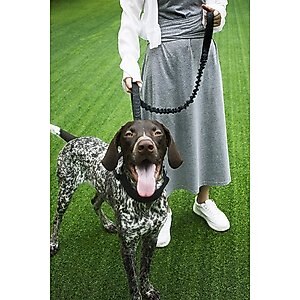 OneTigris Training Nylon Bungee Dog Leash, Black, 3.875-ft long, 1-in wide