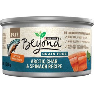 Purina Beyond Arctic Char & Spinach Pate Recipe Grain-Free Canned Cat Food, 3-oz, case of 12