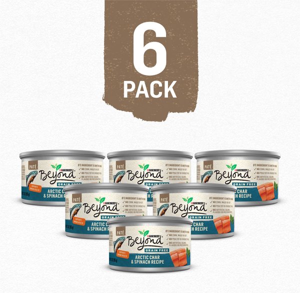 Purina Beyond Grain-Free Icelandic Arctic Char & Lentil Recipe Dry Cat Food