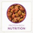Purina Muse MasterPieces Natural Turkey & Chicken Recipe Dry Cat Food