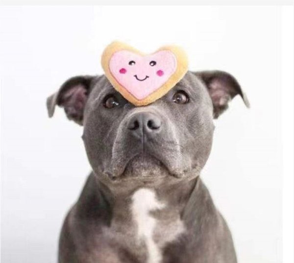 EYS Cookie Jar with Heart-Shaped Squeakers Interactive & Durable Soft Chewers Dog Plush Toy, White
