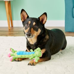 GoDog Dragons Skinny Chew Guard Squeaky Plush Dog Toy, Green, Small slide 2 of 5