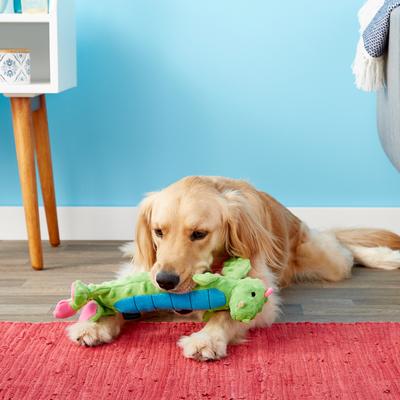 Show full view: GoDog Dragons Skinny Chew Guard Squeaky Plush Dog Toy, Green, Large slide 2 of 8