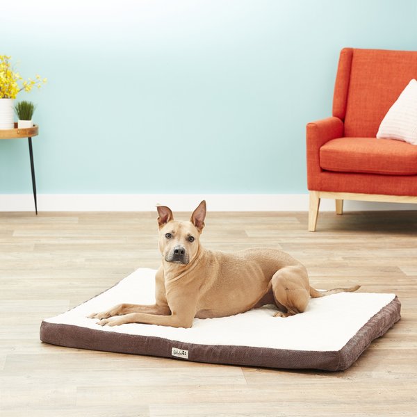 Petlinks 2024 dog bed