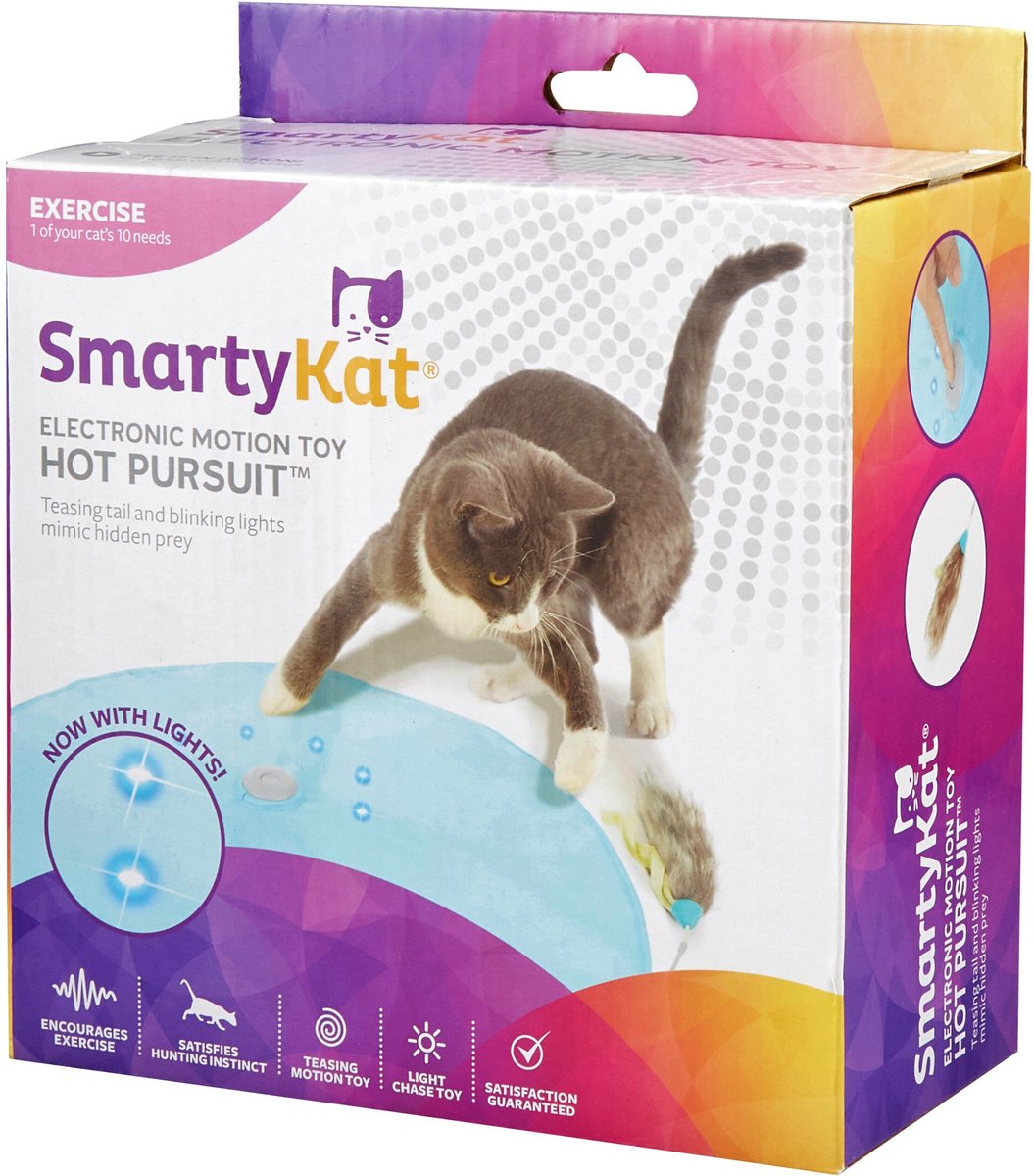 Concealed motion 2025 cat toy