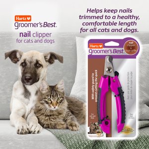 10 Best Dog Nail Clippers 2024: According To Reviews | Chewy