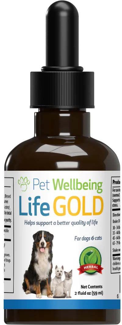 Liquid gold hot sale dog supplement