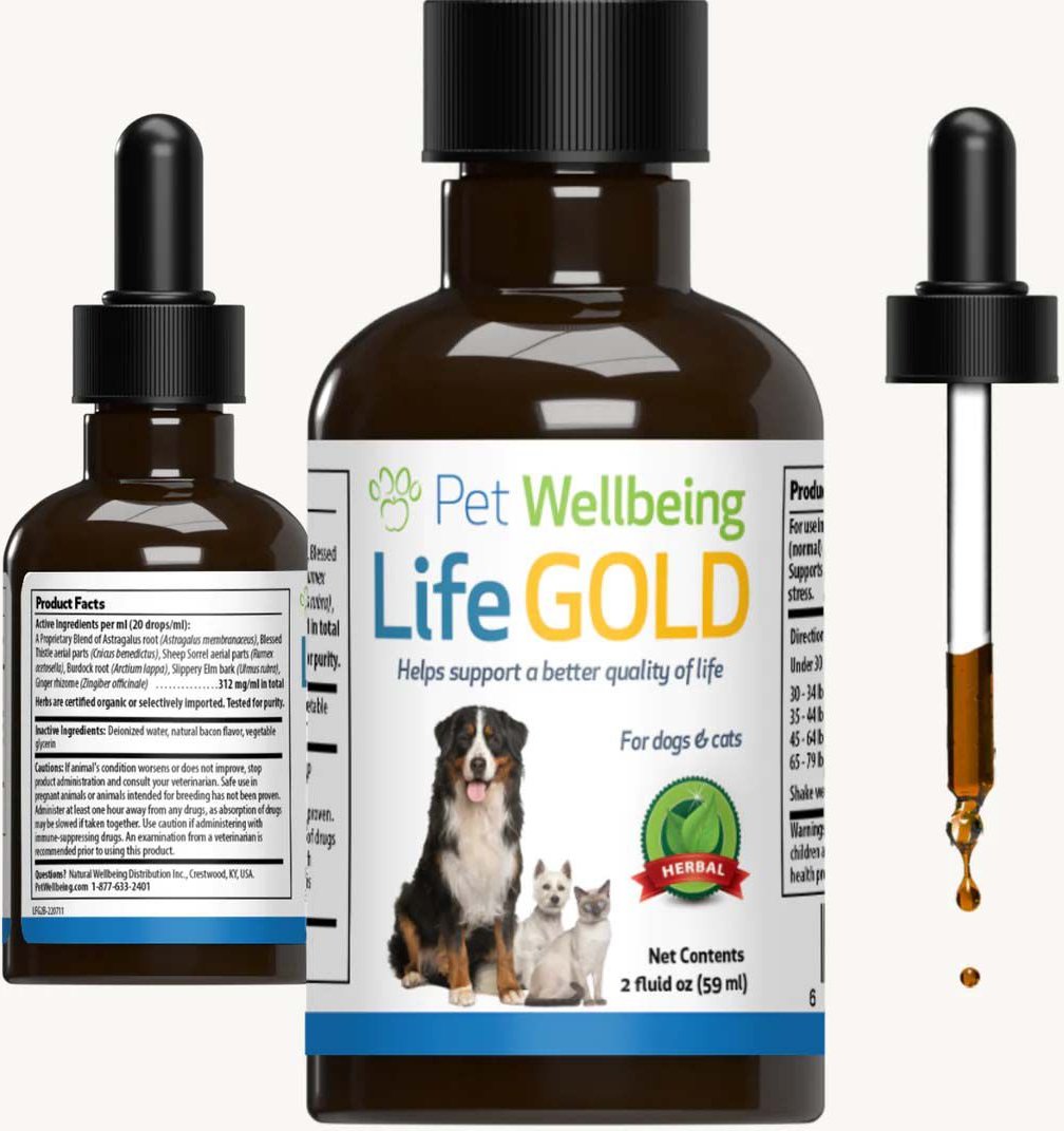 PET WELLBEING Life GOLD Bacon Flavored Liquid Immune Supplement for