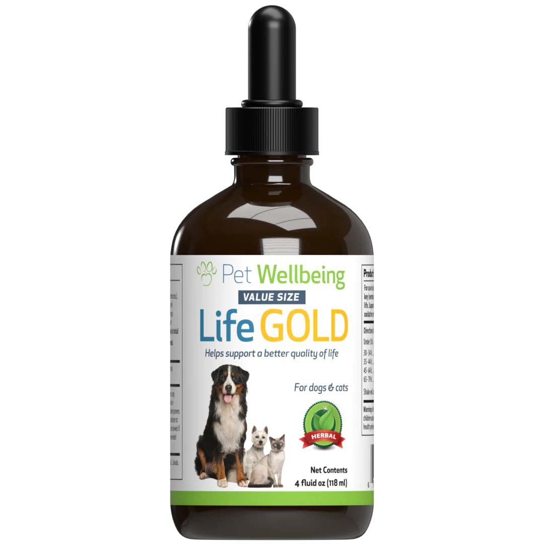 PET WELLBEING Life GOLD Bacon Flavored Liquid Immune Supplement for ...