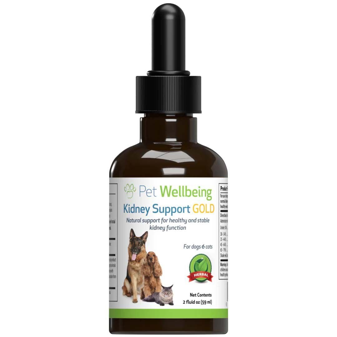 PET WELLBEING Kidney Support GOLD Bacon Flavored Liquid Kidney