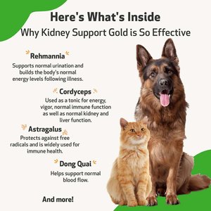 Pet Wellbeing Kidney Support GOLD Bacon Flavored Liquid Kidney Supplement for Dogs & Cats, 2-oz bottle