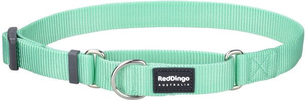 Red Dingo Classic Pastel Nylon Martingale Dog Collar