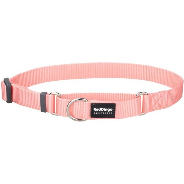 PetSafe Premier Martingale Dog Collar, Dusty Rose