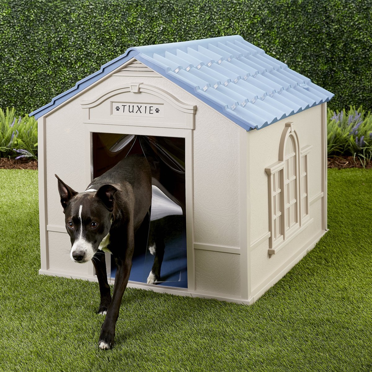 Suncast outdoor best sale dog house