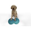FitPAWS K9 FitMat Dog Training Tool, Teal